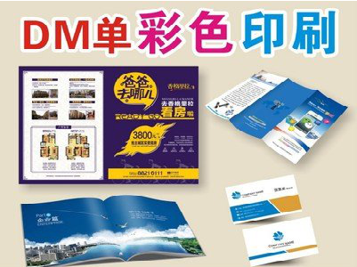 沿河单页印刷，色彩搭配简单。